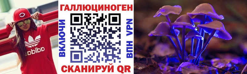 Купить где  Таганрог  Галлюциногенные грибы Psilocybine cubensis 